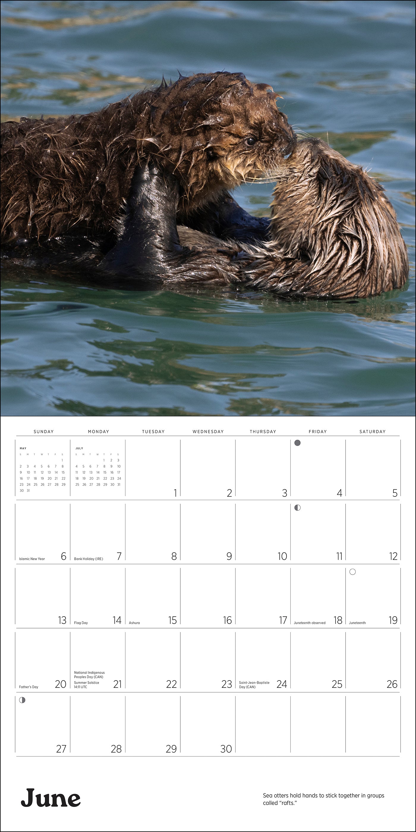 pomegranate-sea-otters-leeson-2027-wandkalender-foto image 5