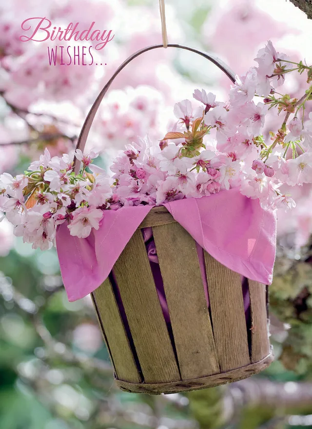 otter-house-greetings-cards-geburtstagskarte-blossom-blumenstrau image 1