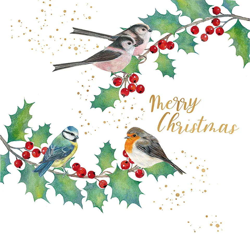otter-house-feathered-friends-weihnachtskarten-10er-pack image 1