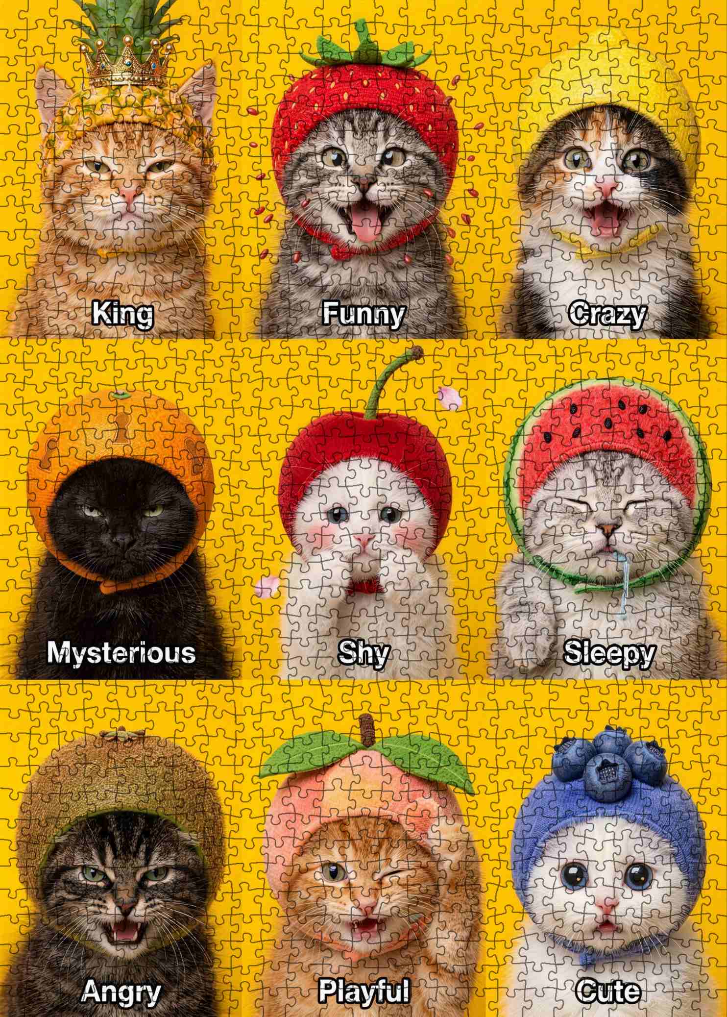 tucocoo-funny-cat-puzzle-1000-teile-katzen-lustig image 2