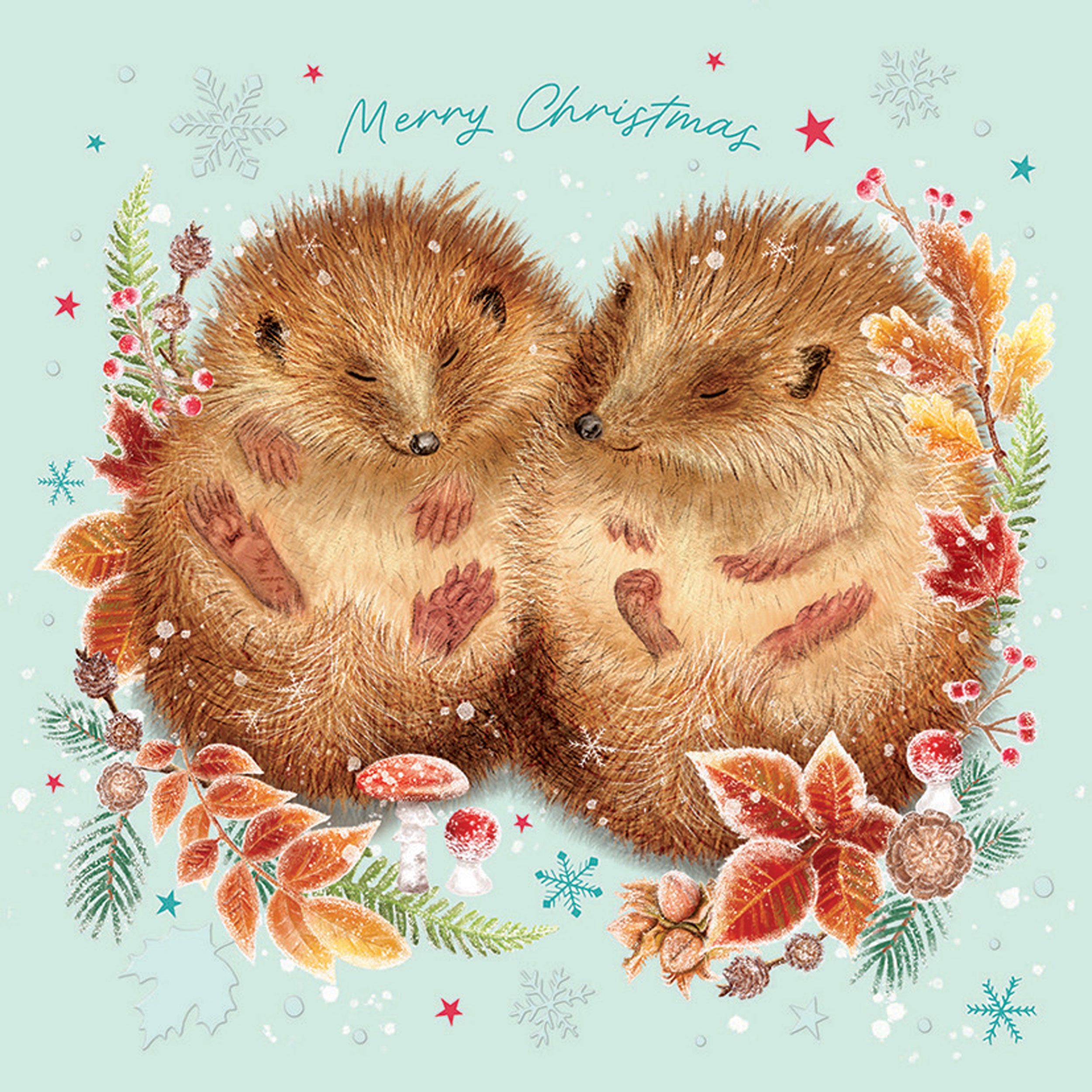 otter-house-luxury-weihnachtskarten-10er-winter-hibernation image 2