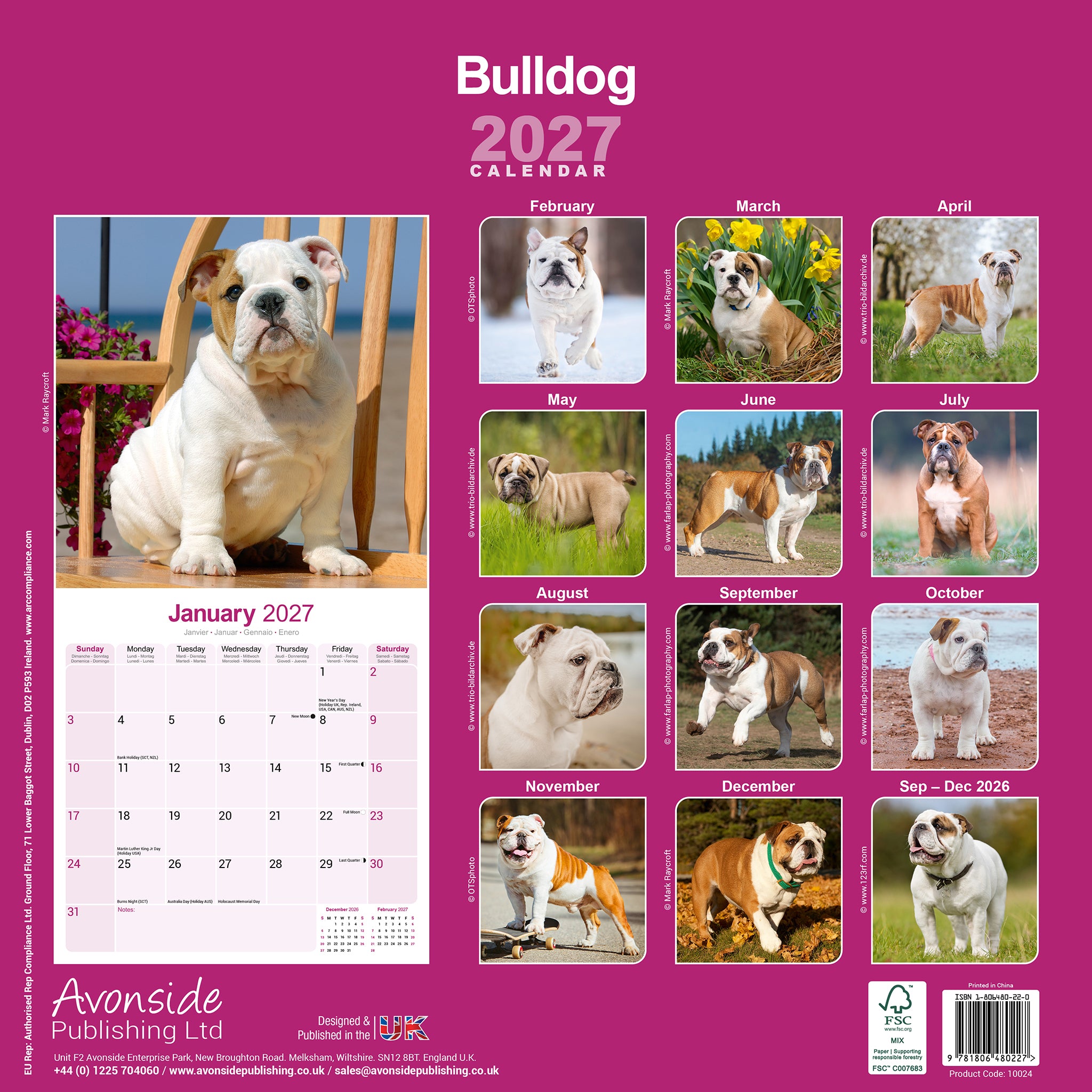 otter-house-bulldog-wandkalender-2027-hunde image 2