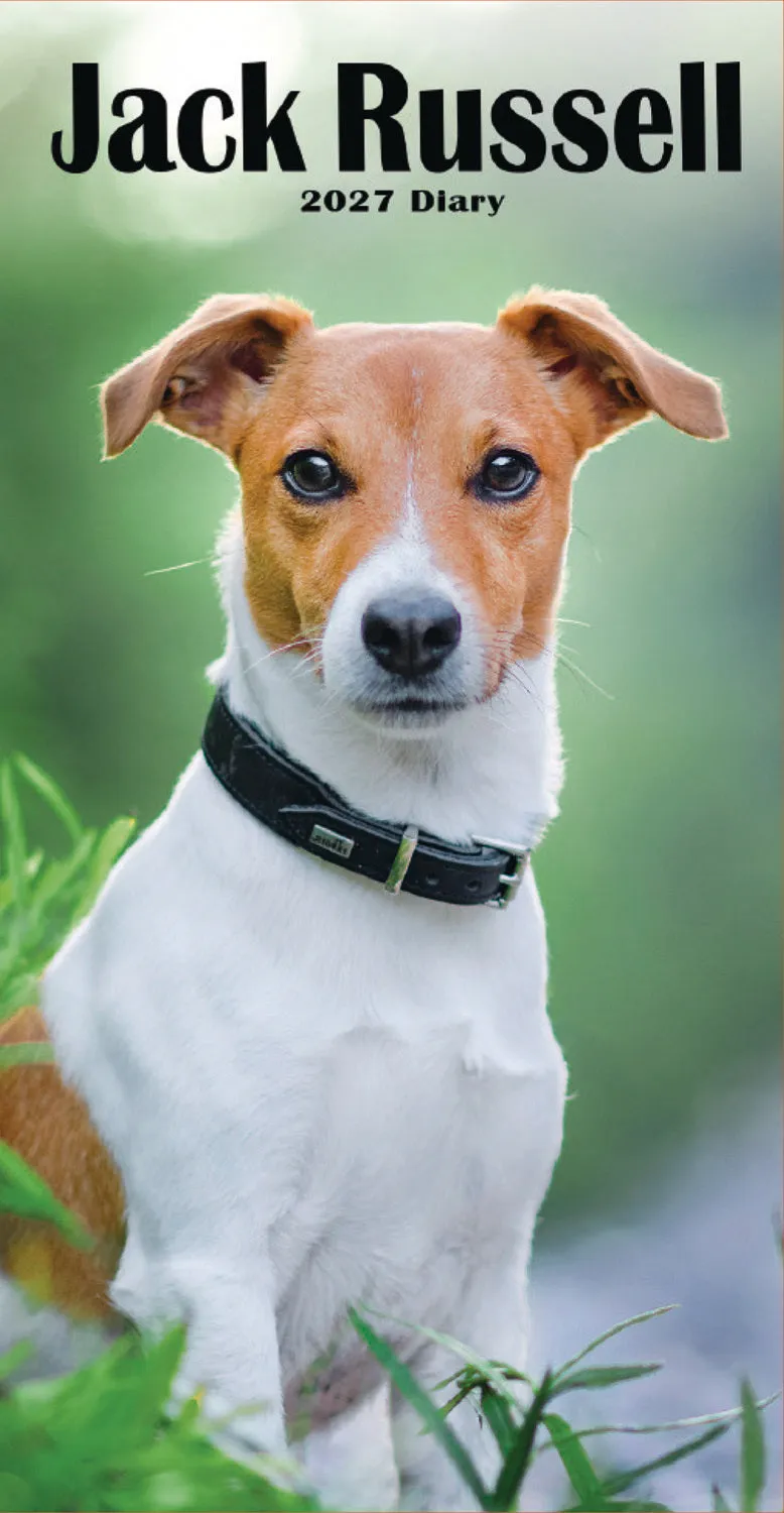 otter-house-jack-russell-terriers-slim-diary-2027-terminkalender image 1