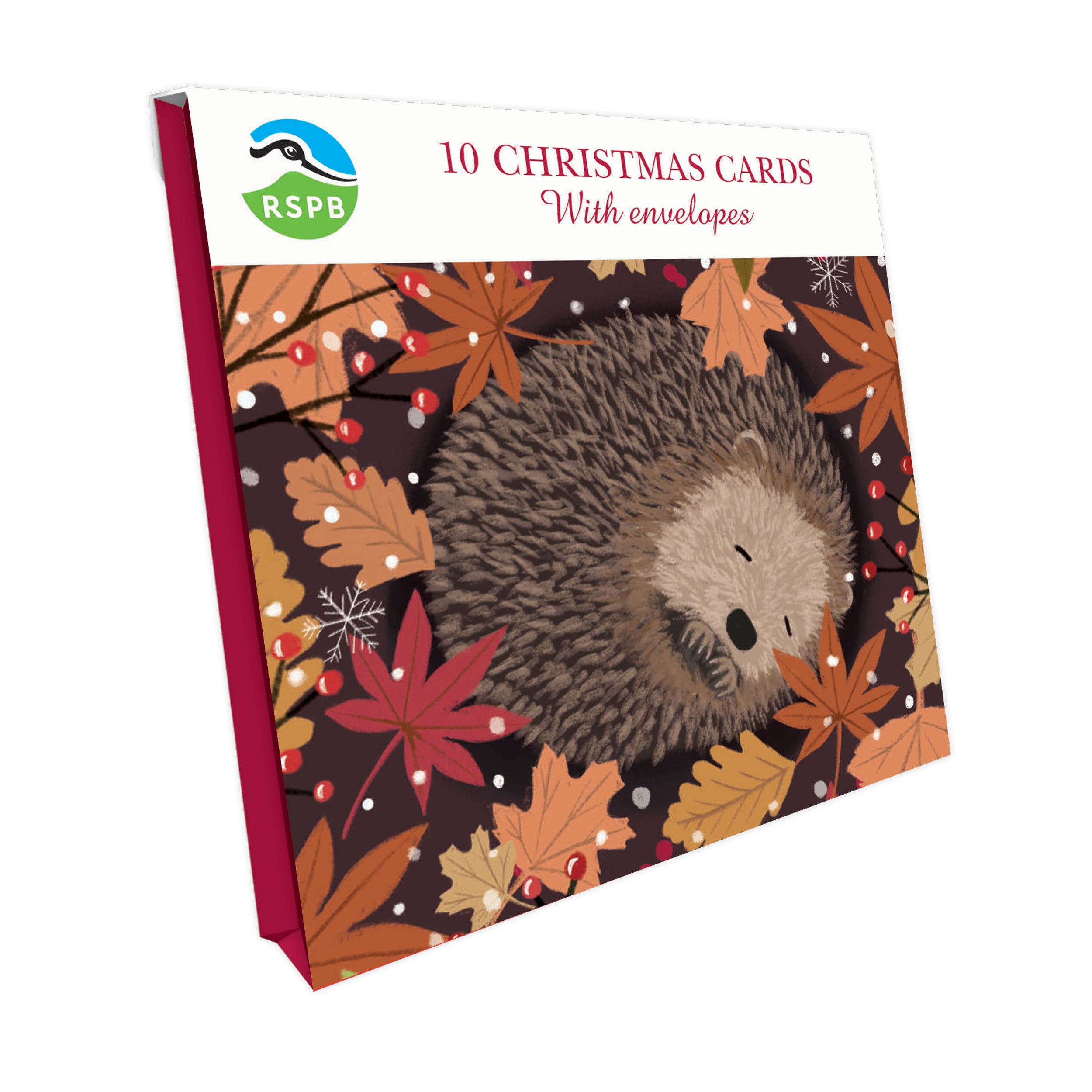 otter-house-christmas-sleeping-hedgehog-weihnachtskarten-10er-igel image 1