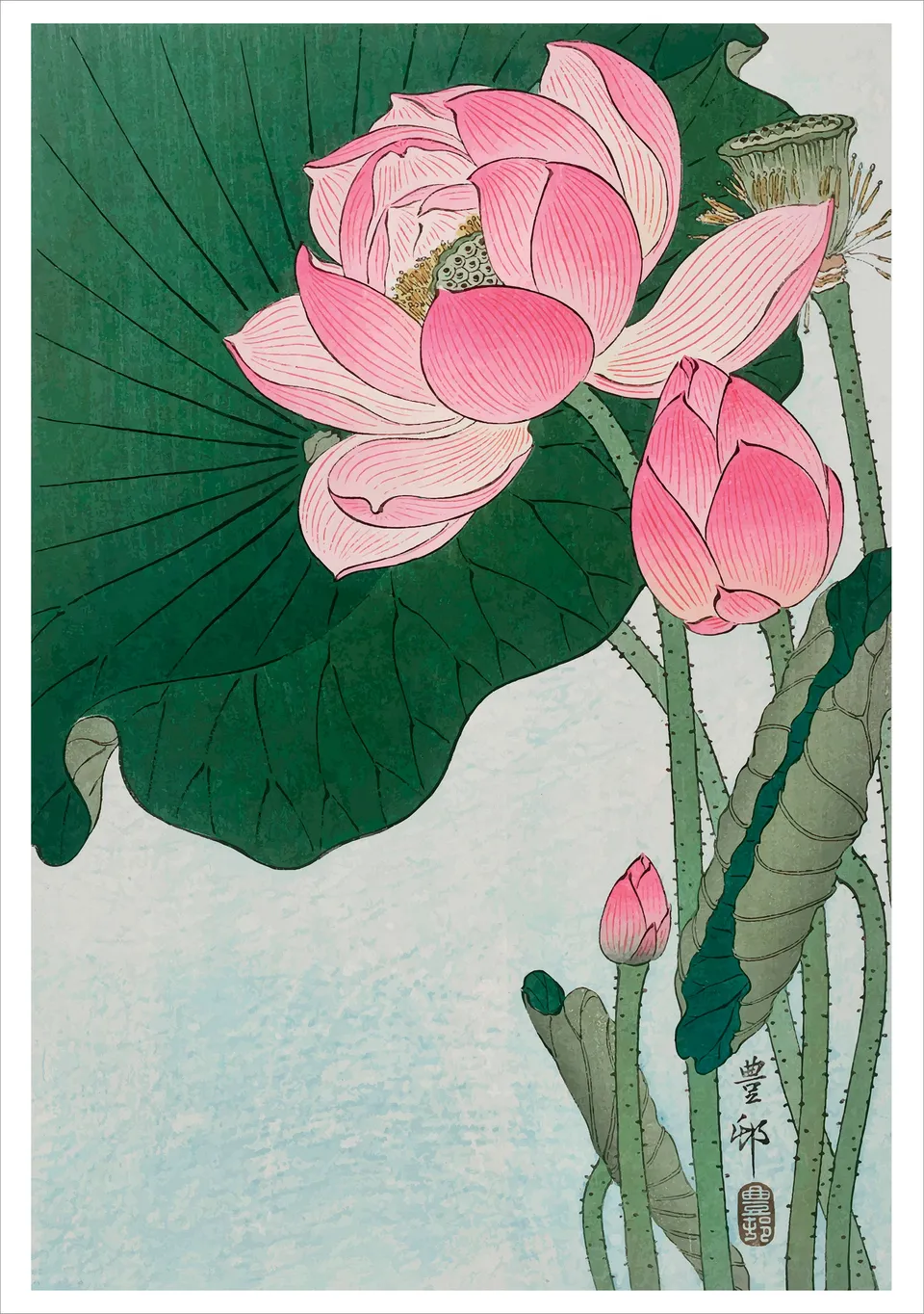 pomegranate-blank-notecards-blooming-lotus-klappkarte-einzeln image 1