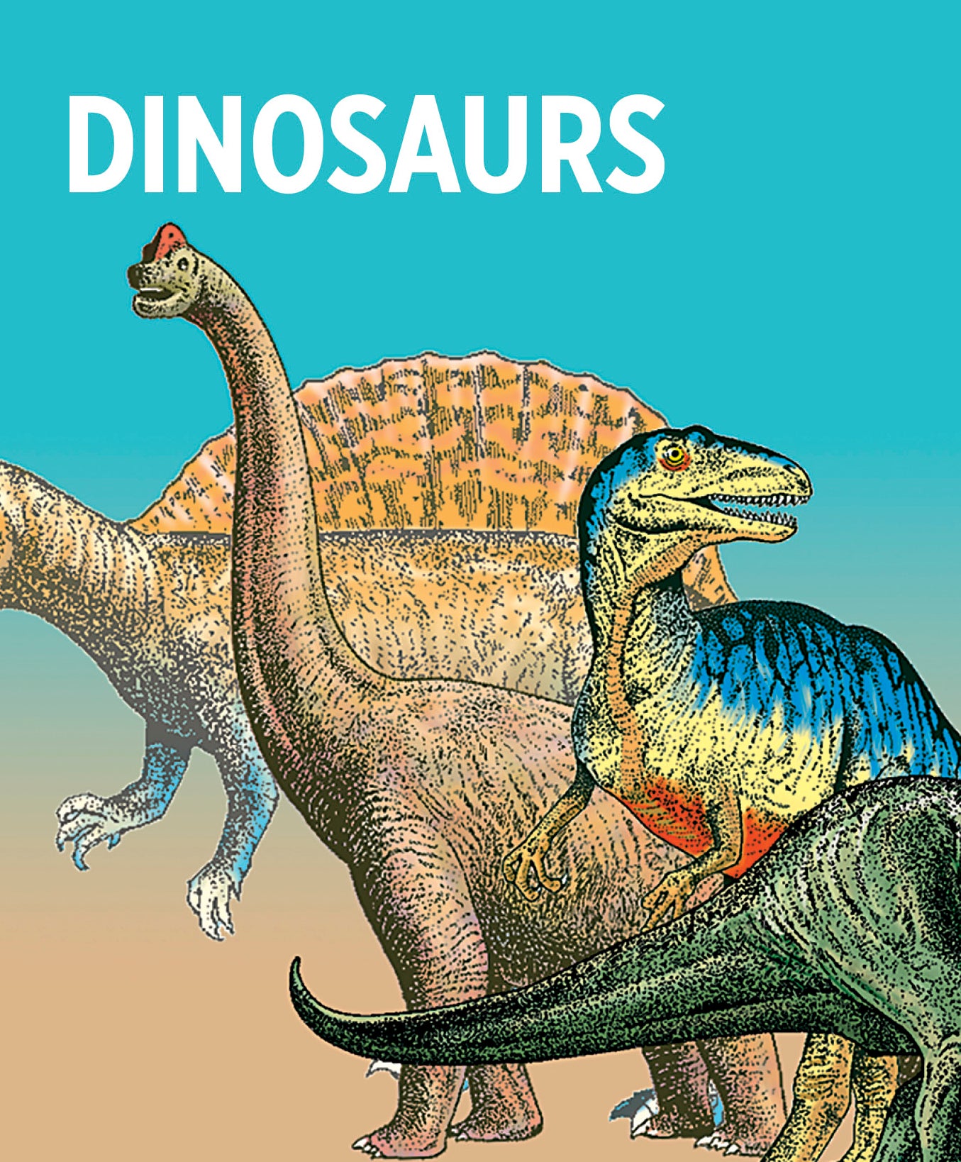 pomegranate-dinosaurier-lernkarten-knowledge-cards-48-karten image 2