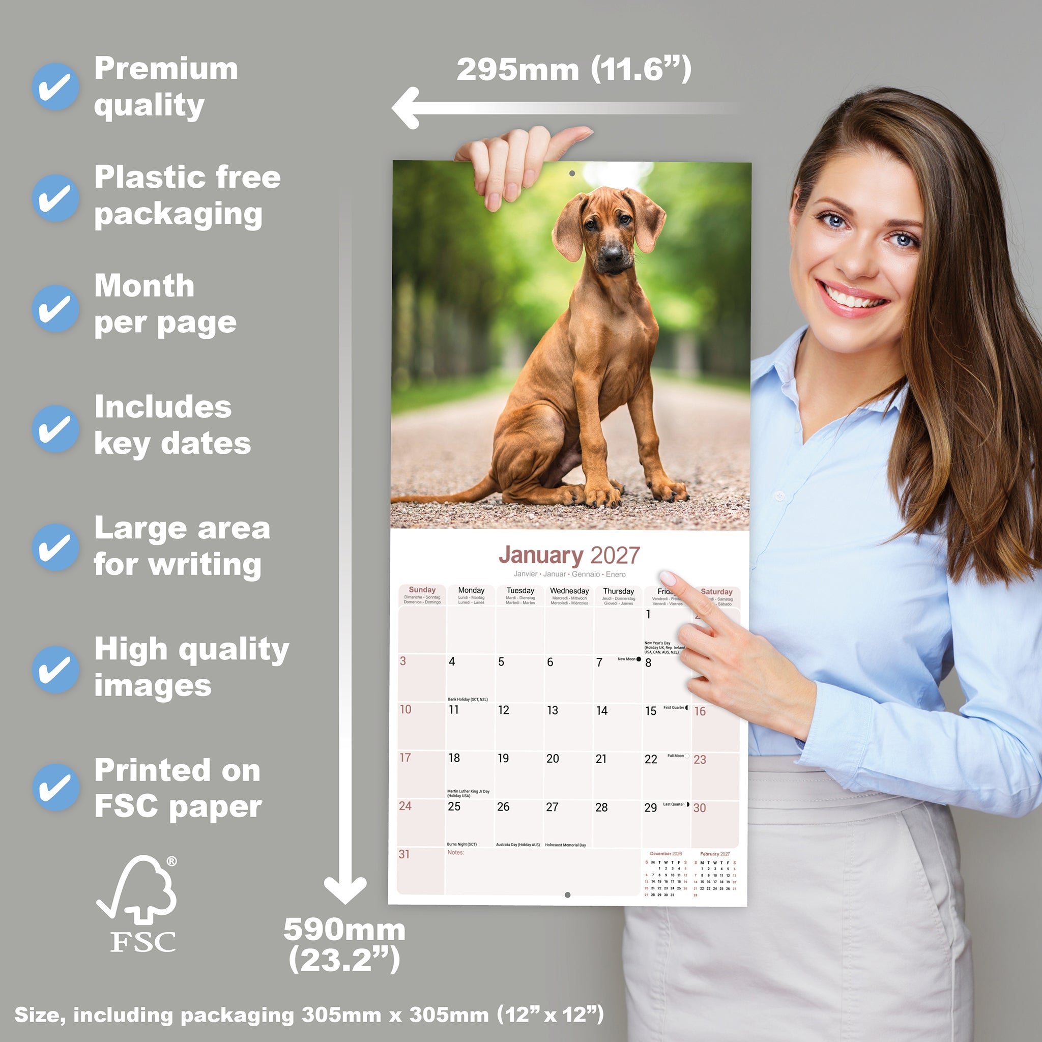 otter-house-rhodesian-ridgeback-wandkalender-2027-hunde-monatsbilder image 4