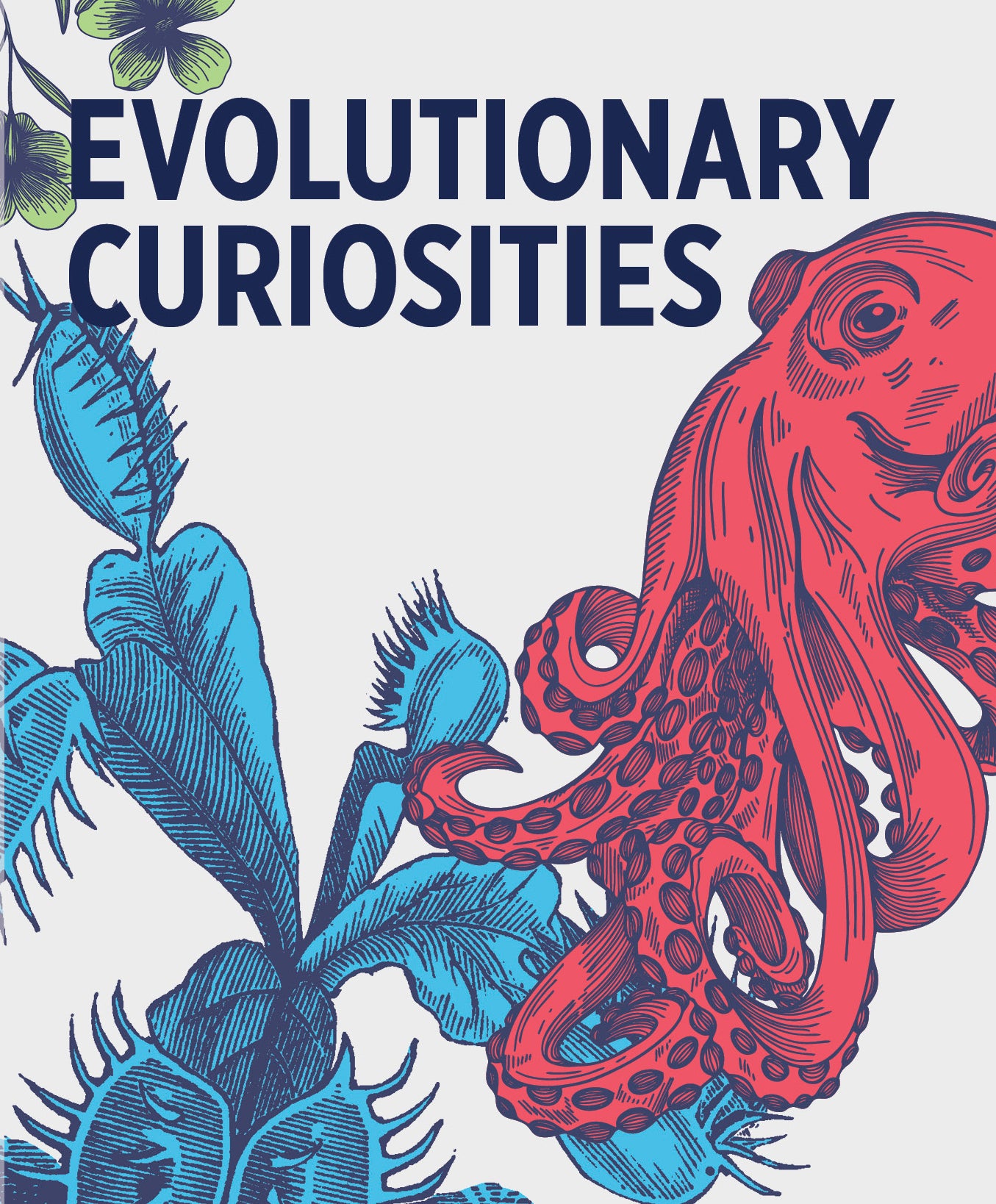 pomegranate-knowledge-cards-evolutionary-curiosities-lernkarten-evolution image 2