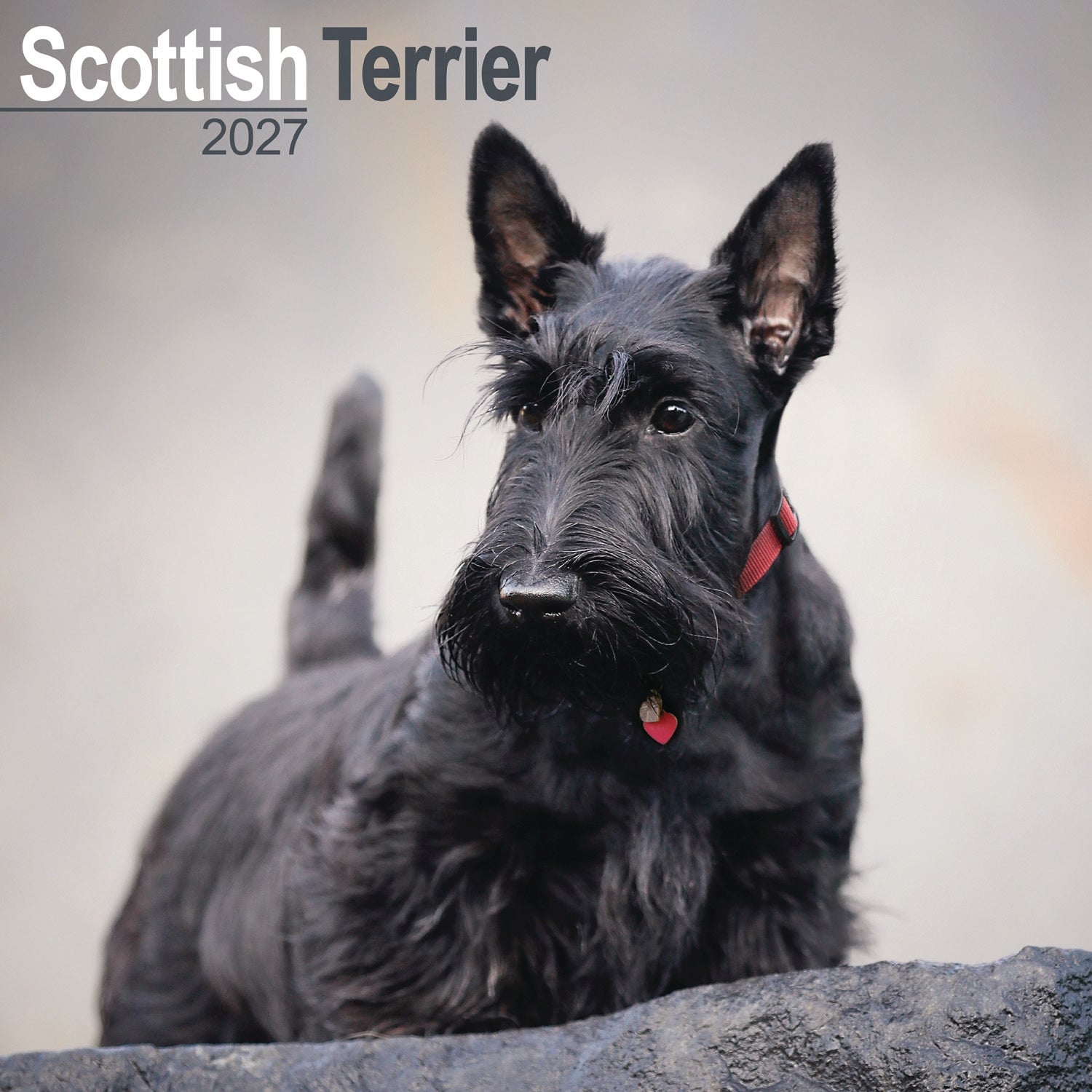 otter-house-scottish-terrier-wandkalender-2027-hunde image 1