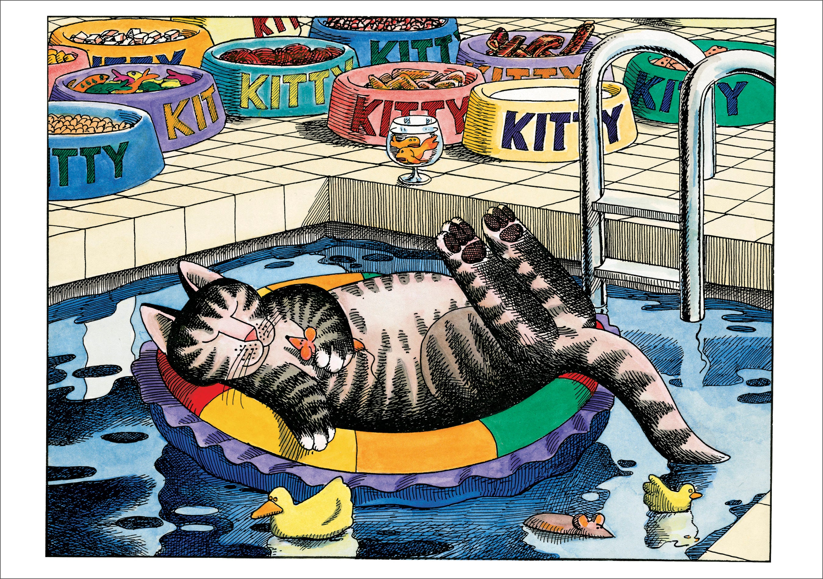 pomegranate-b-kliban-poolcat-geburtstagskarte-katze image 1