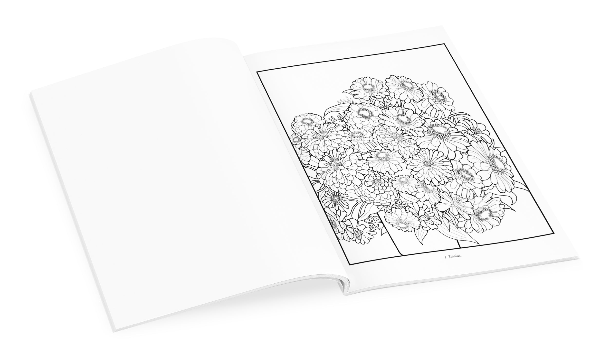 pomegranate-baumann-coloring-book-malbuch-landschaft image 3