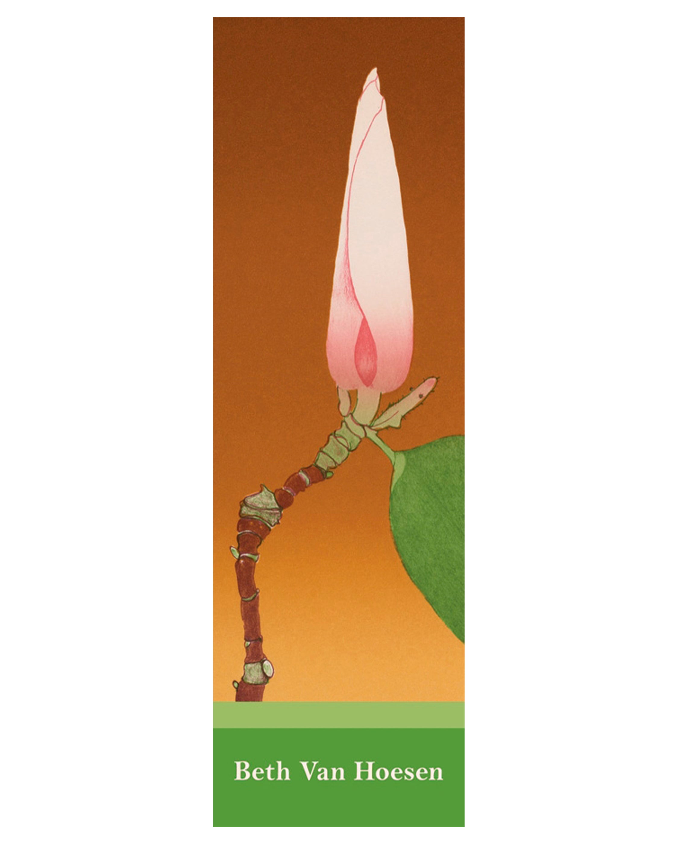 pomegranate-magnolia-bud-lesezeichen-beth-van-hoesen-kunst image 1