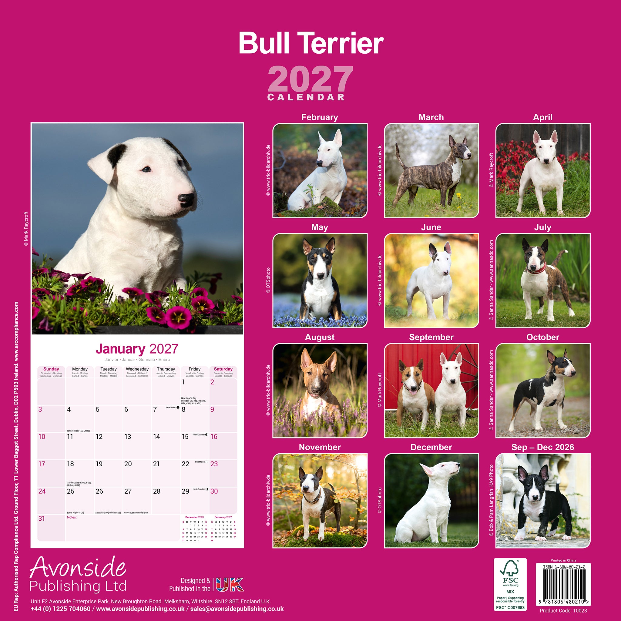 otter-house-bull-terrier-wandkalender-2027-hunde image 2