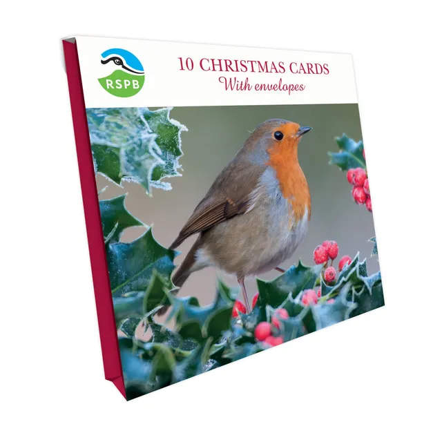 otter-house-chirpy-robin-weihnachtskarten-10er-pack-rspb image 1
