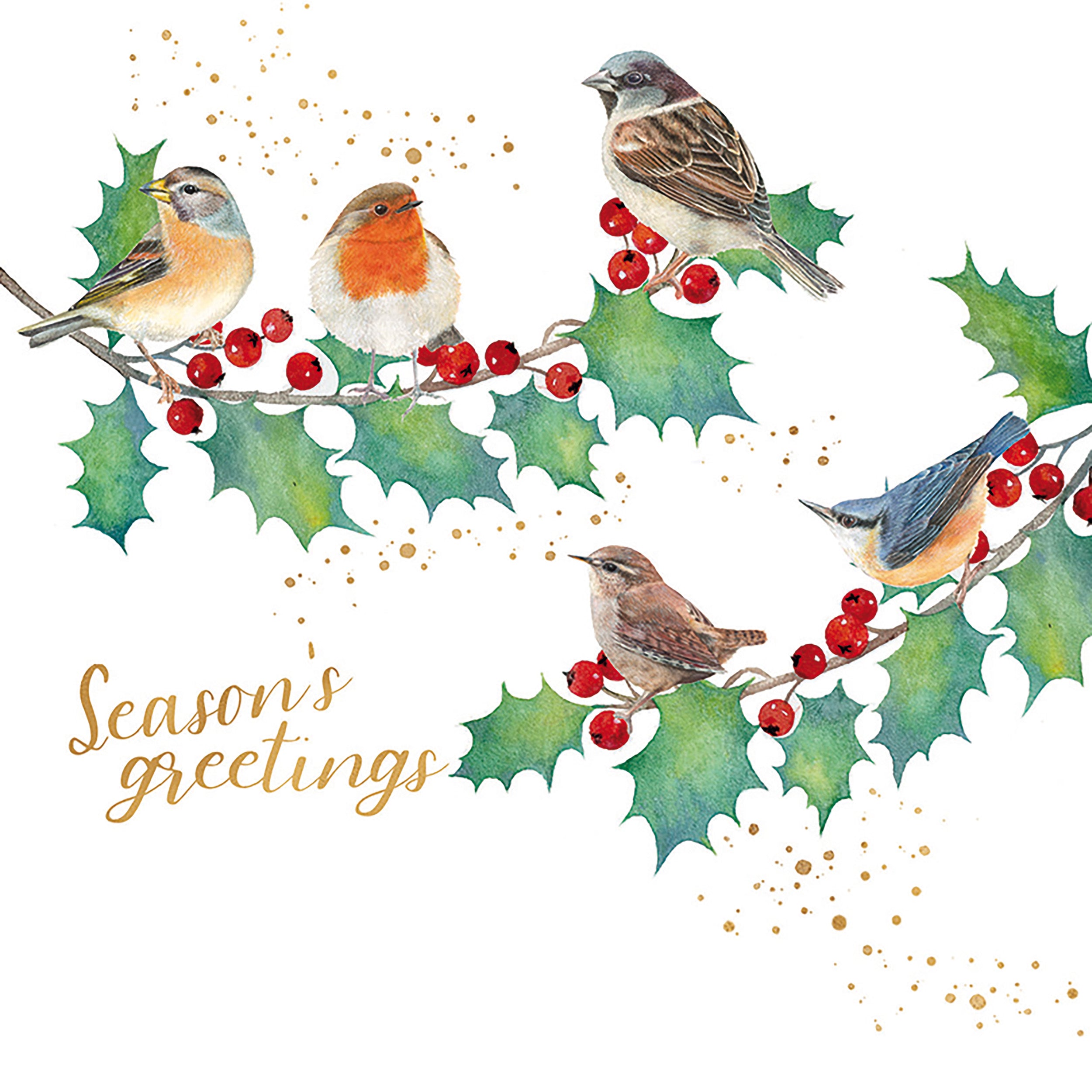 otter-house-feathered-friends-weihnachtskarten-10er-pack image 2