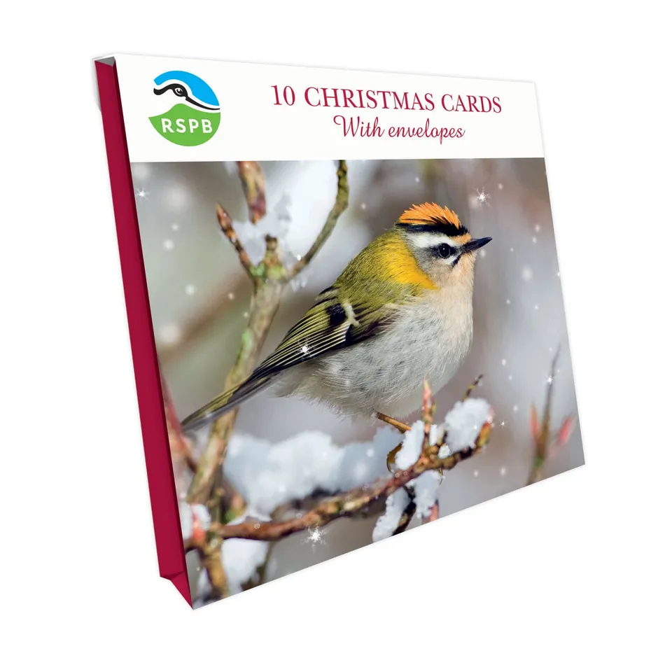 otter-house-rspb-snowy-firecrest-weihnachtskarten-10er image 1