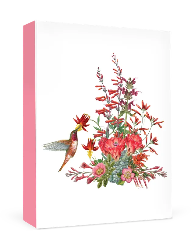 pomegranate-erin-hunter-california-wildflowers-karten-rot image 1