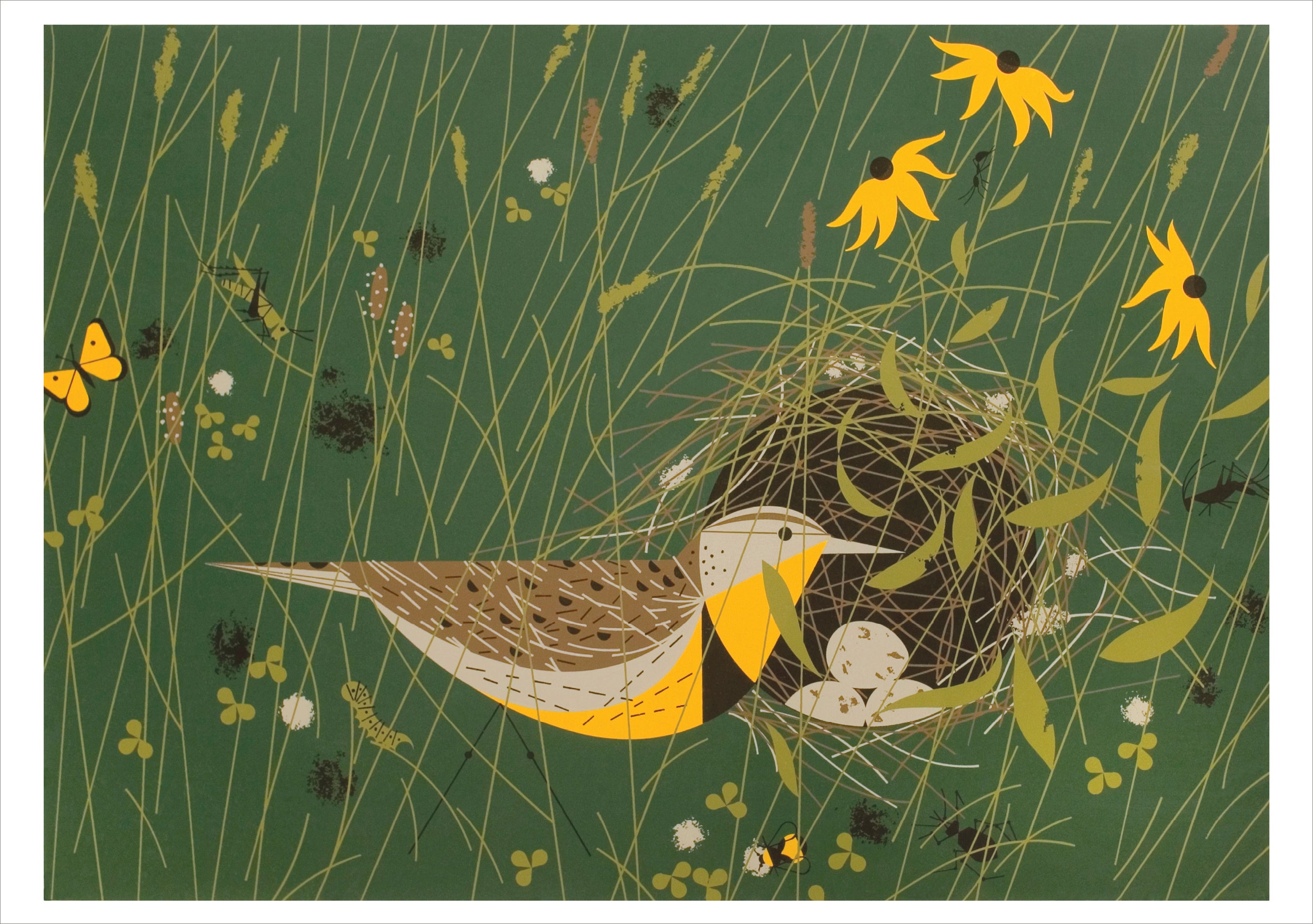 pomegranate-charley-harper-nesting-instinct-gru-karten-20er-v-gel image 5