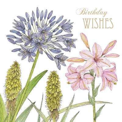 otter-house-greetings-cards-vintage-garden-agapanthus-lily-gru-karte-blanko image 1