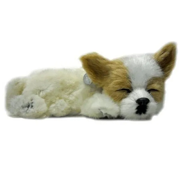 otter-house-precious-petzzz-chihuahua-pl-schhund-mit-bett image 1