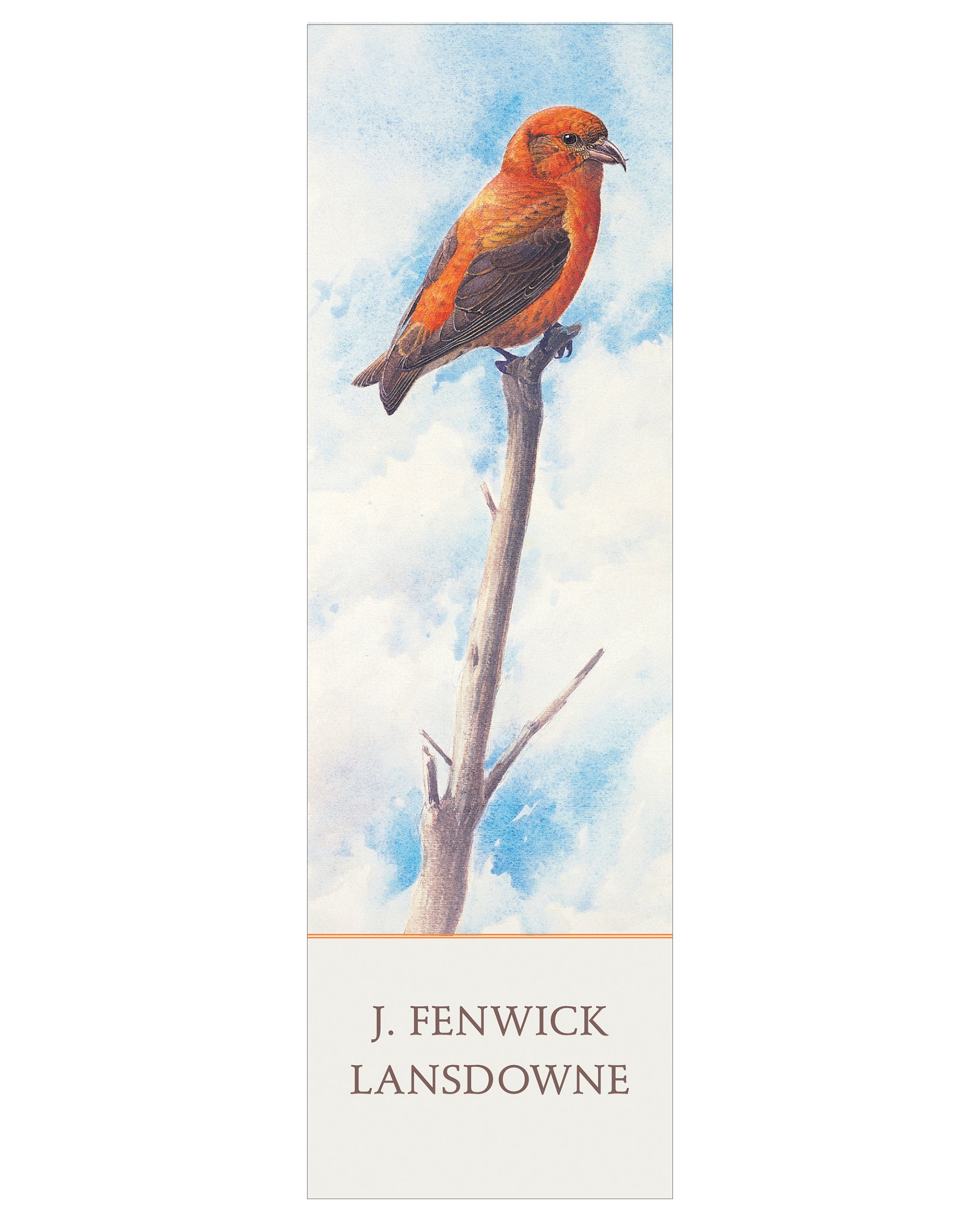 pomegranate-red-crossbill-lesezeichen-lansdowne-vogel image 1