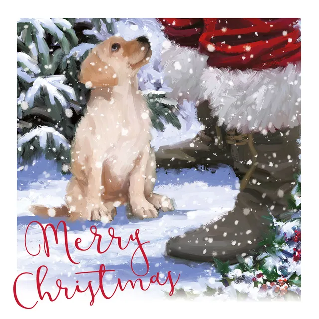 otter-house-christmas-my-friend-santa-weihnachtskarten-pack-hund image 1