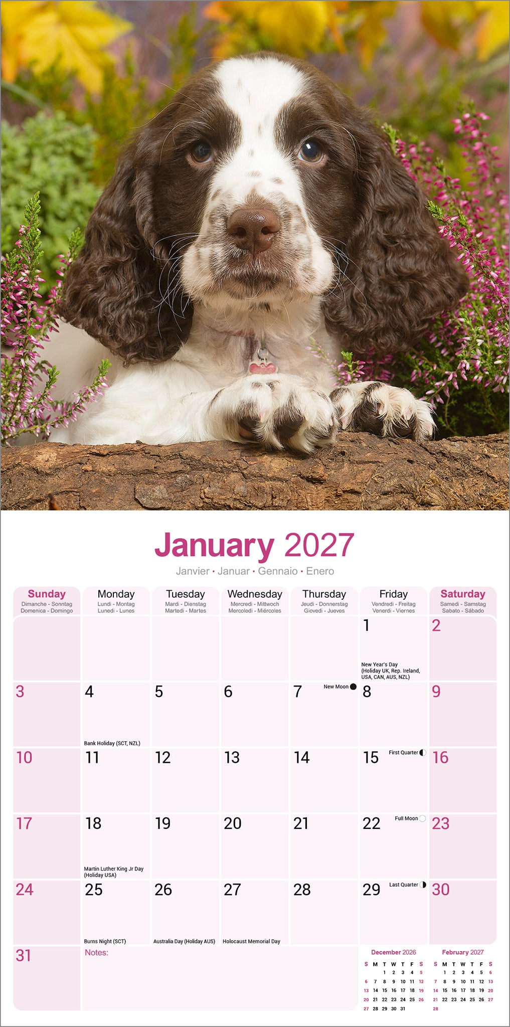 otter-house-english-springer-spaniel-wandkalender-2027 image 3