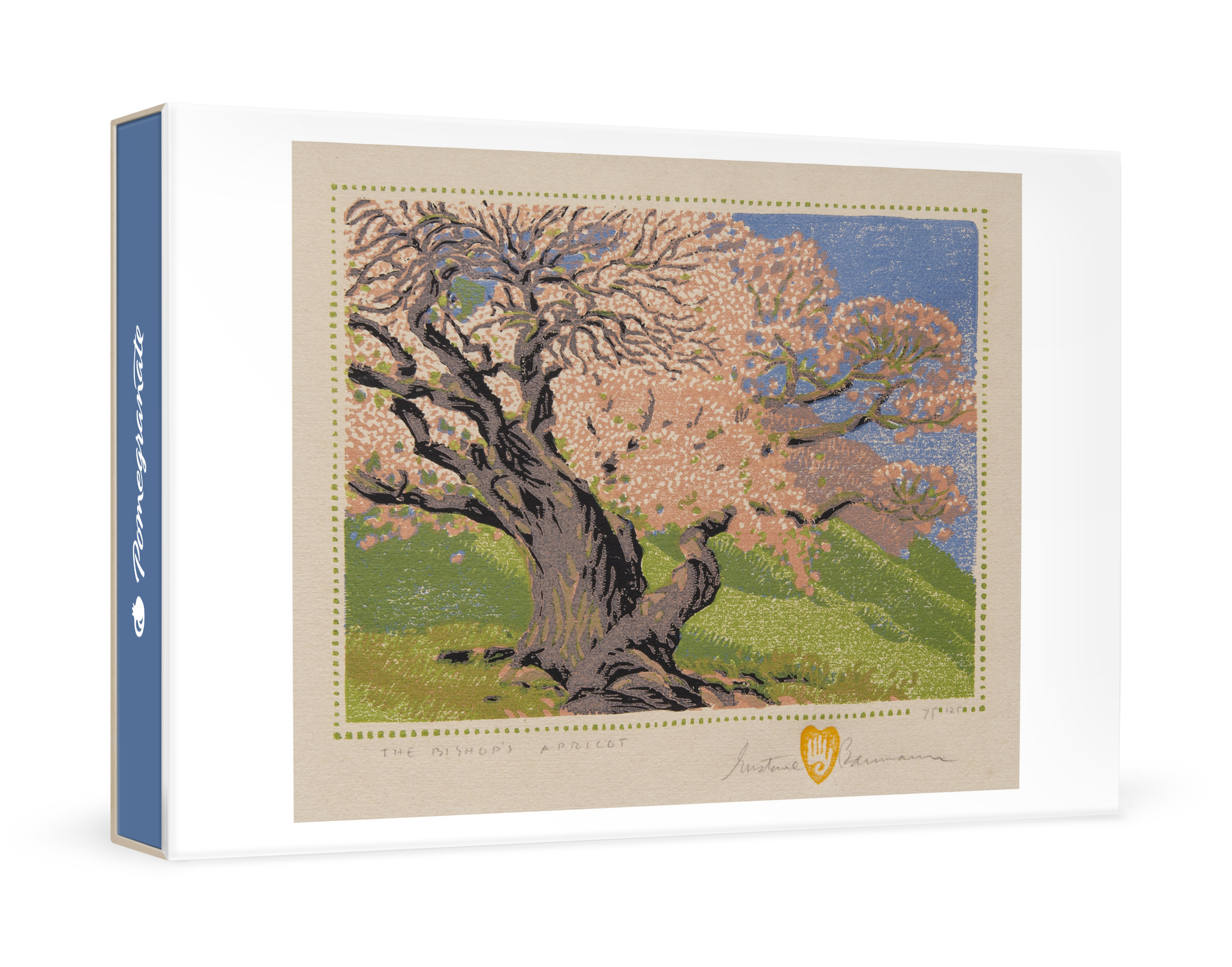pomegranate-baumann-bishop-s-apricot-kartenset-box-landschaft image 1