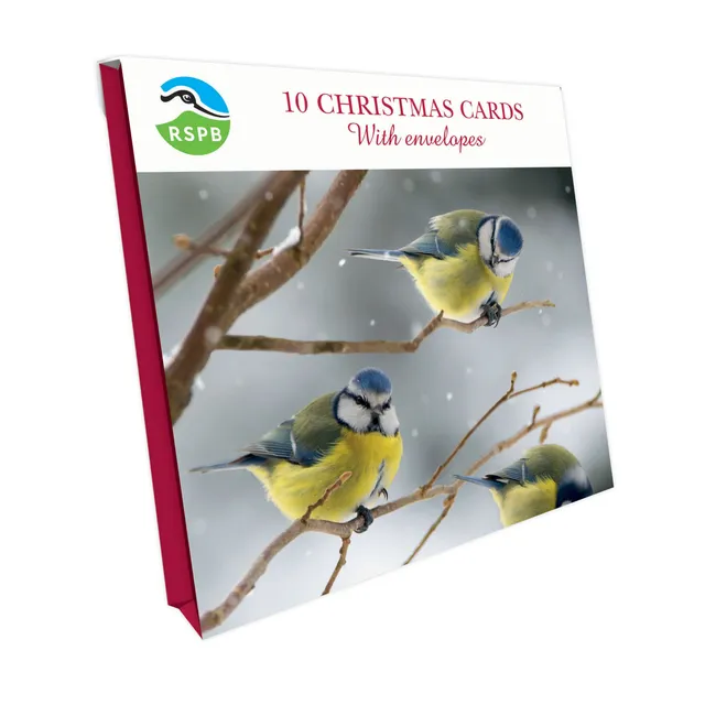 otter-house-rspb-blaumeisen-weihnachtskarten-10er-pack image 1