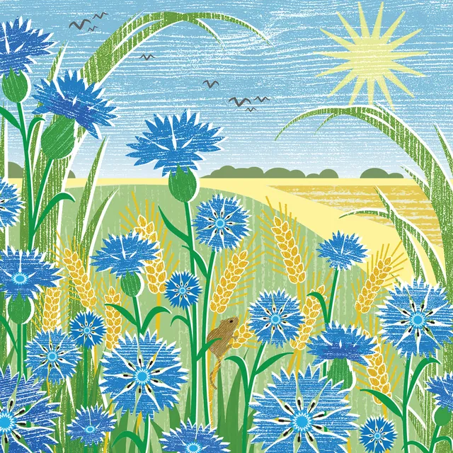 otter-house-quayside-gallery-cornflowers-gru-karte-blumen image 1