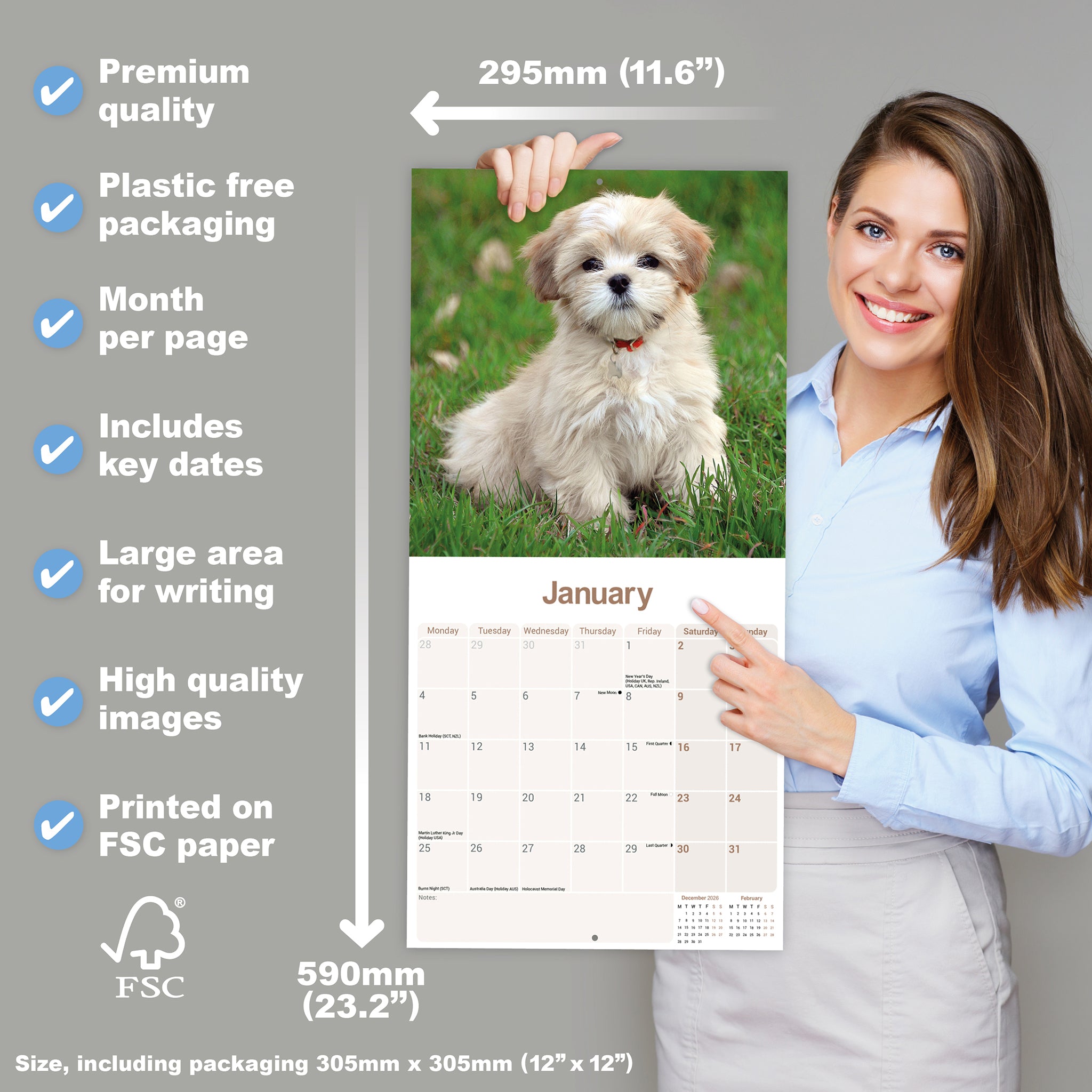 otter-house-lhasa-apso-wandkalender-2027-hunde image 4