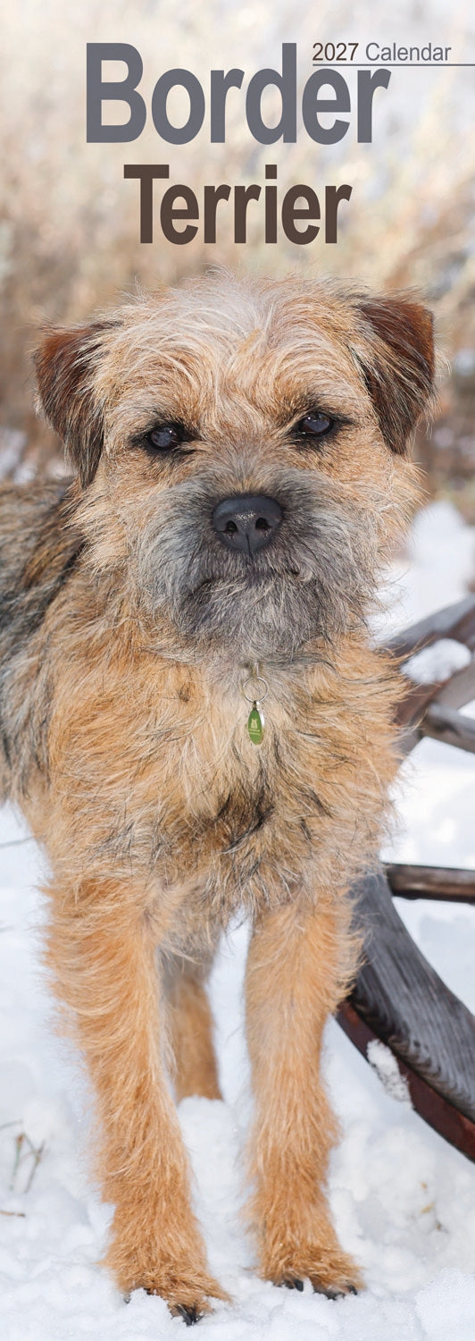 otter-house-border-terrier-slim-kalender-2027-hundemotiv image 1