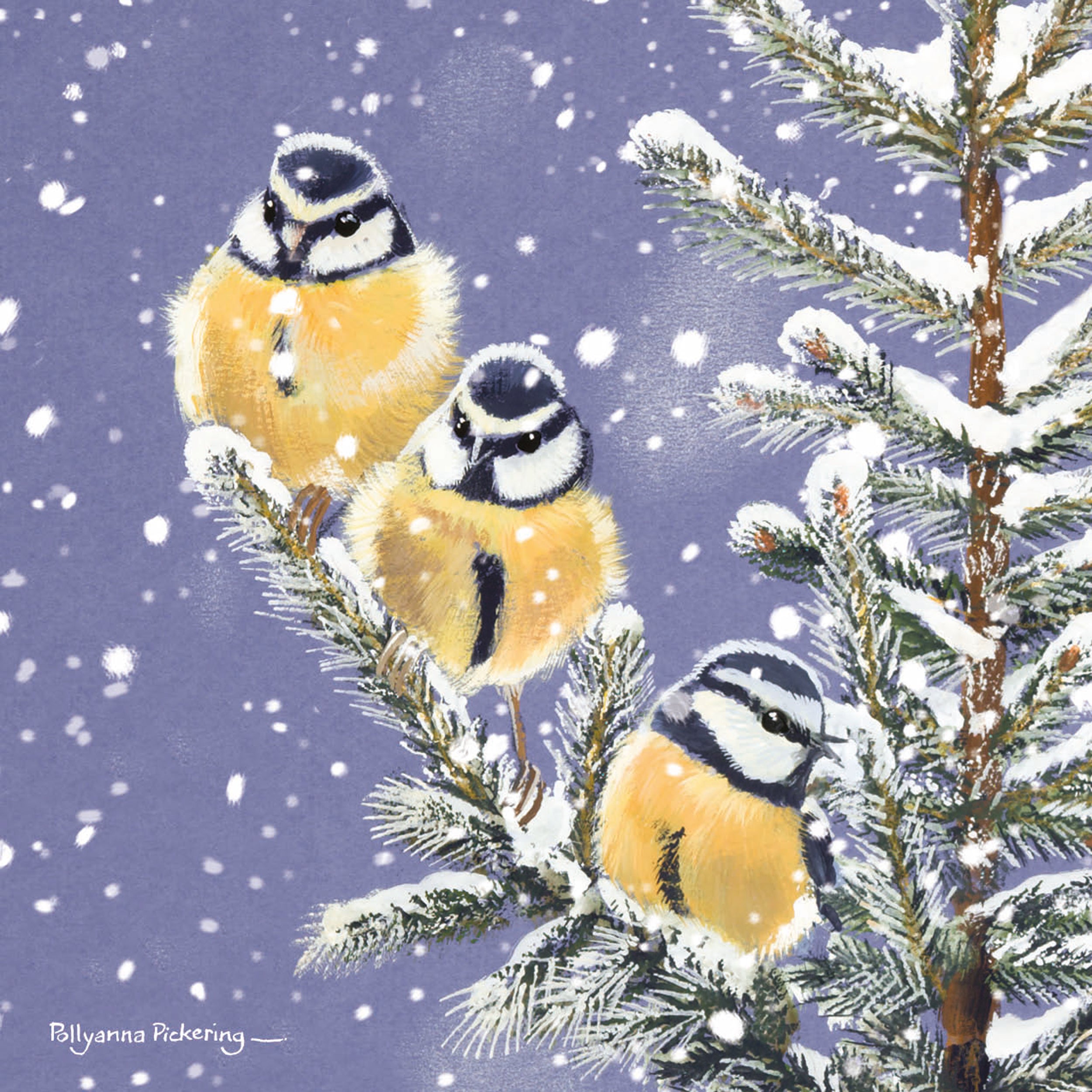 otter-house-puzzle-christmas-rspb-trio-blue-tits-weihnachtskarten-10er-v-gel image 1
