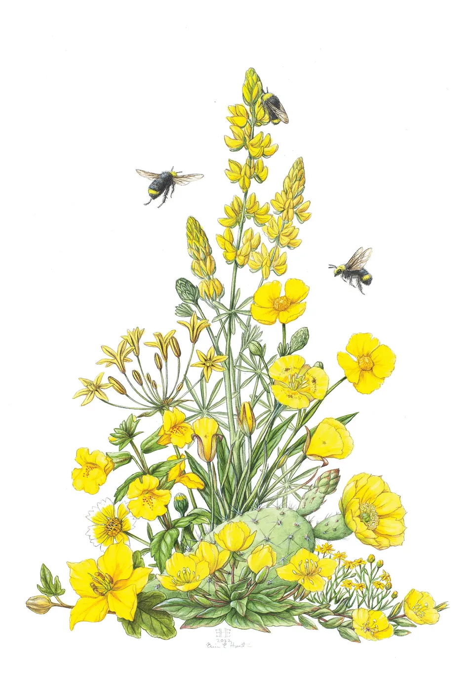 pomegranate-hunter-wildflowers-blankokarte-gelb-einzelkarte image 1