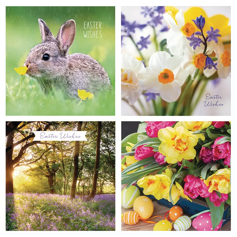 otter-house-easter-osterkarten-5er-pack-fotografisch image 1