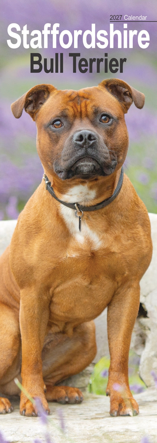 otter-house-staffordshire-bull-terrier-kalender-2027 image 1