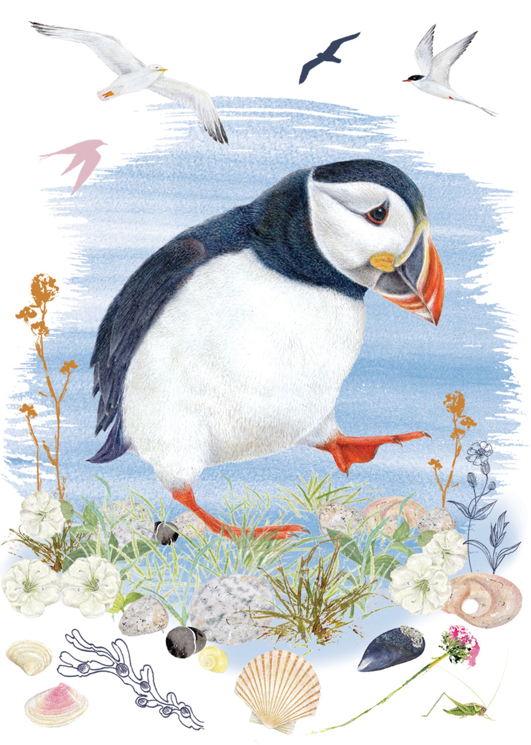 otter-house-puffin-mini-notecard-pack-grusskarten-6-karten image 2