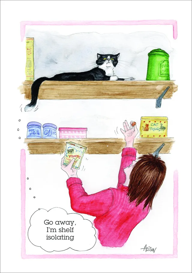 alison-s-animals-gru-karte-shelf-isolating-150x210mm-faultier image 1