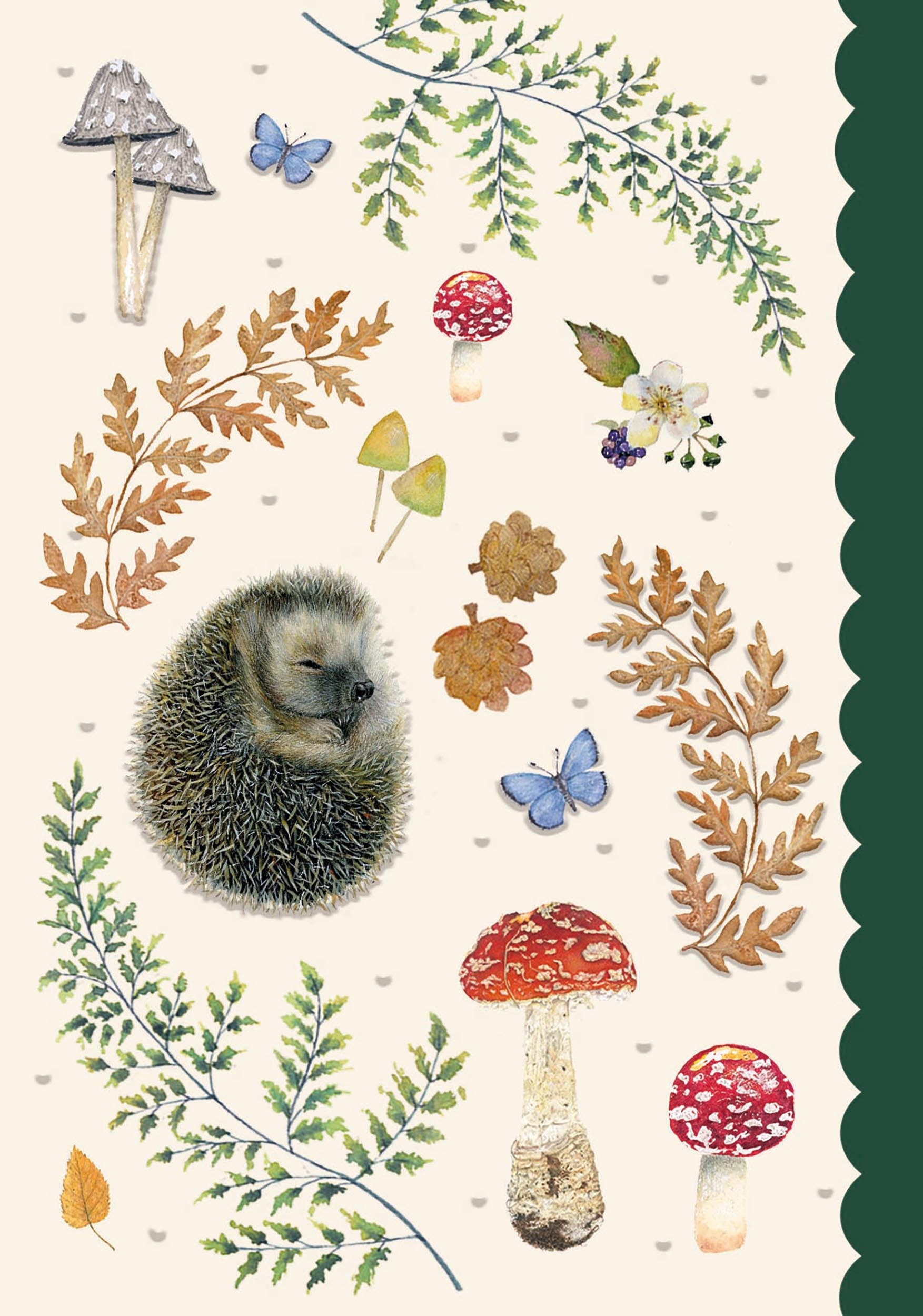 otter-house-meadow-seashore-karte-igel-grusskarte-pilze image 1