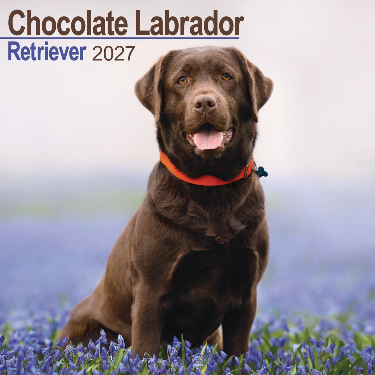 otter-house-labrador-wandkalender-2027-hunde-schoko image 1
