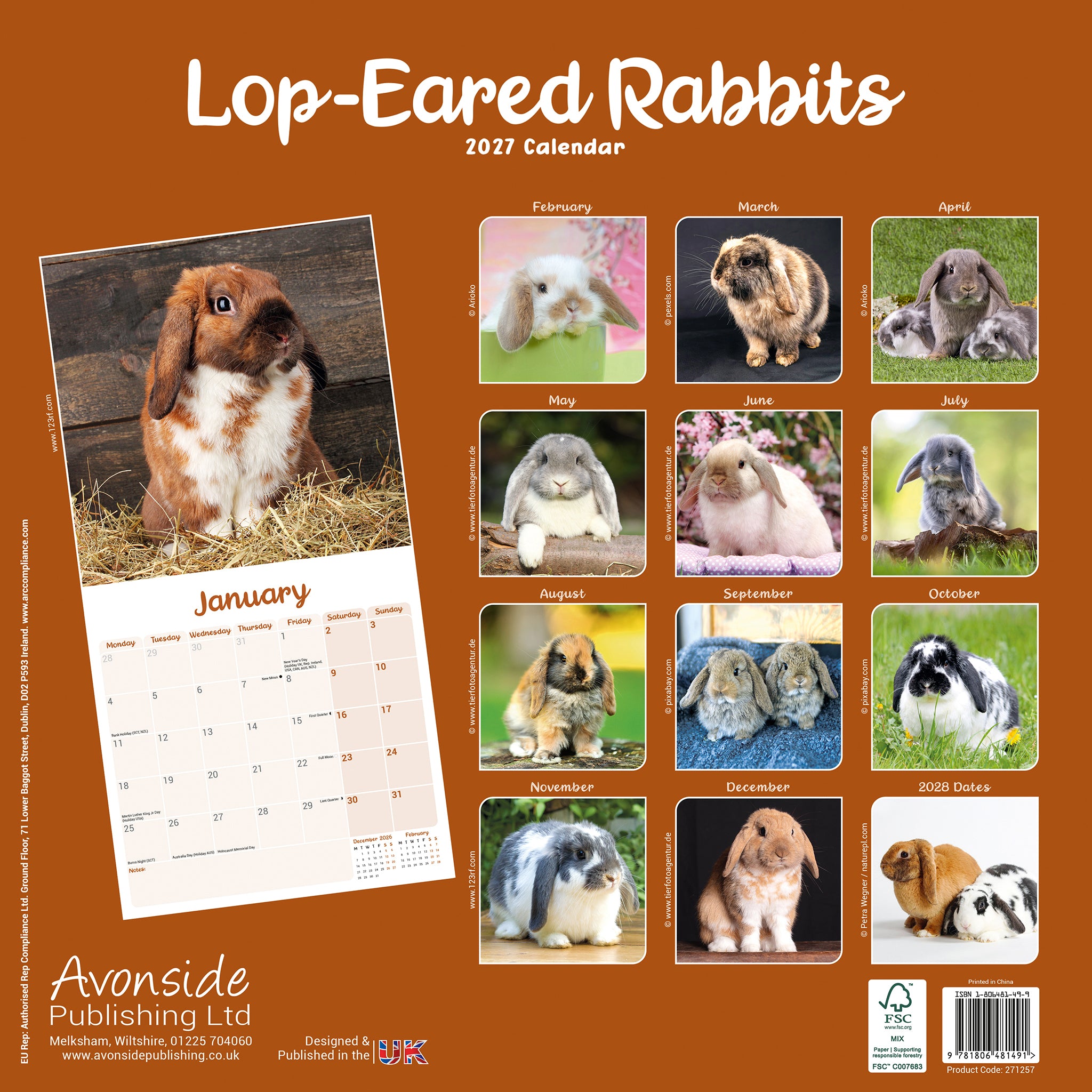 otter-house-lop-eared-rabbits-wandkalender-2027-kaninchen image 2