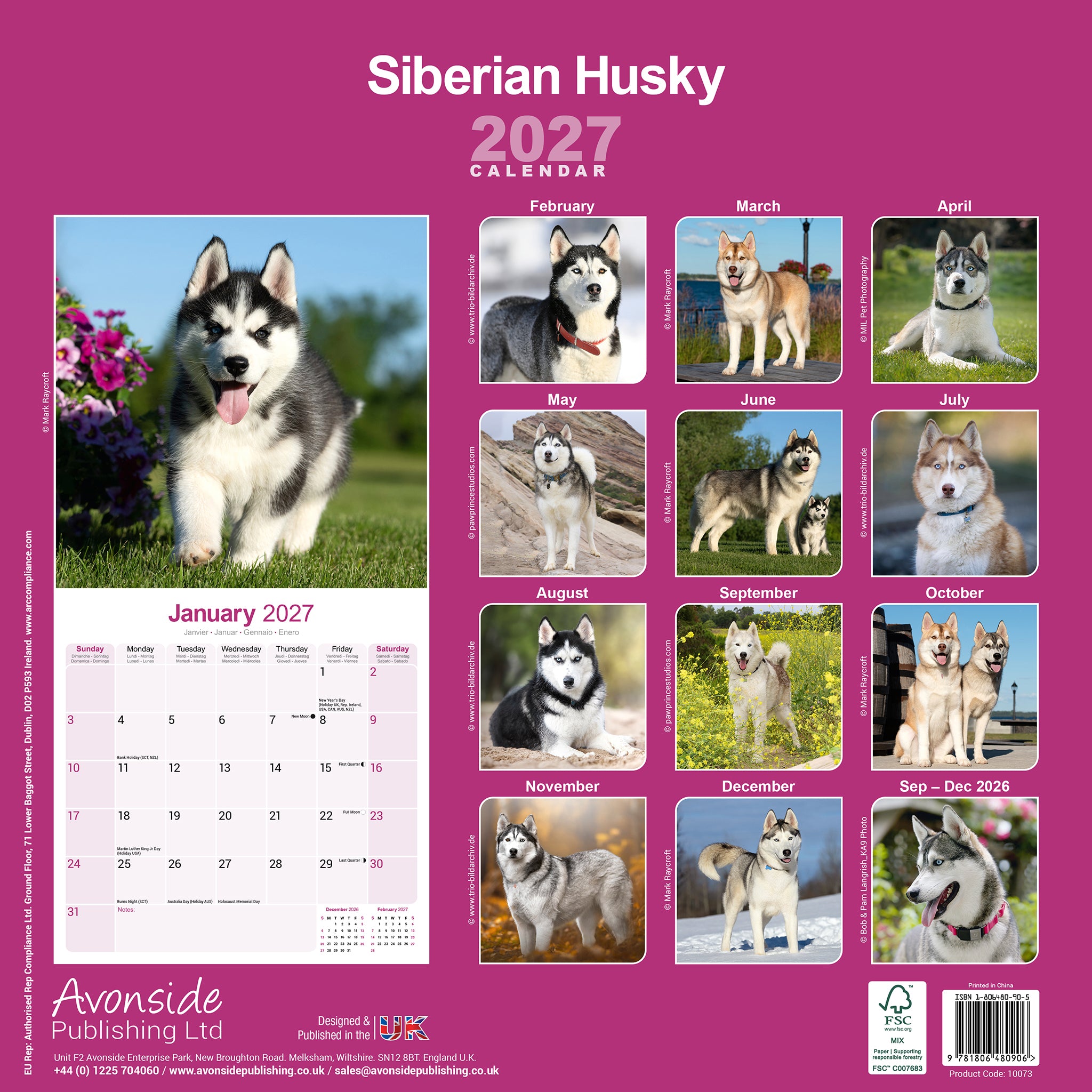 otter-house-siberian-husky-wandkalender-2027-hunde image 2