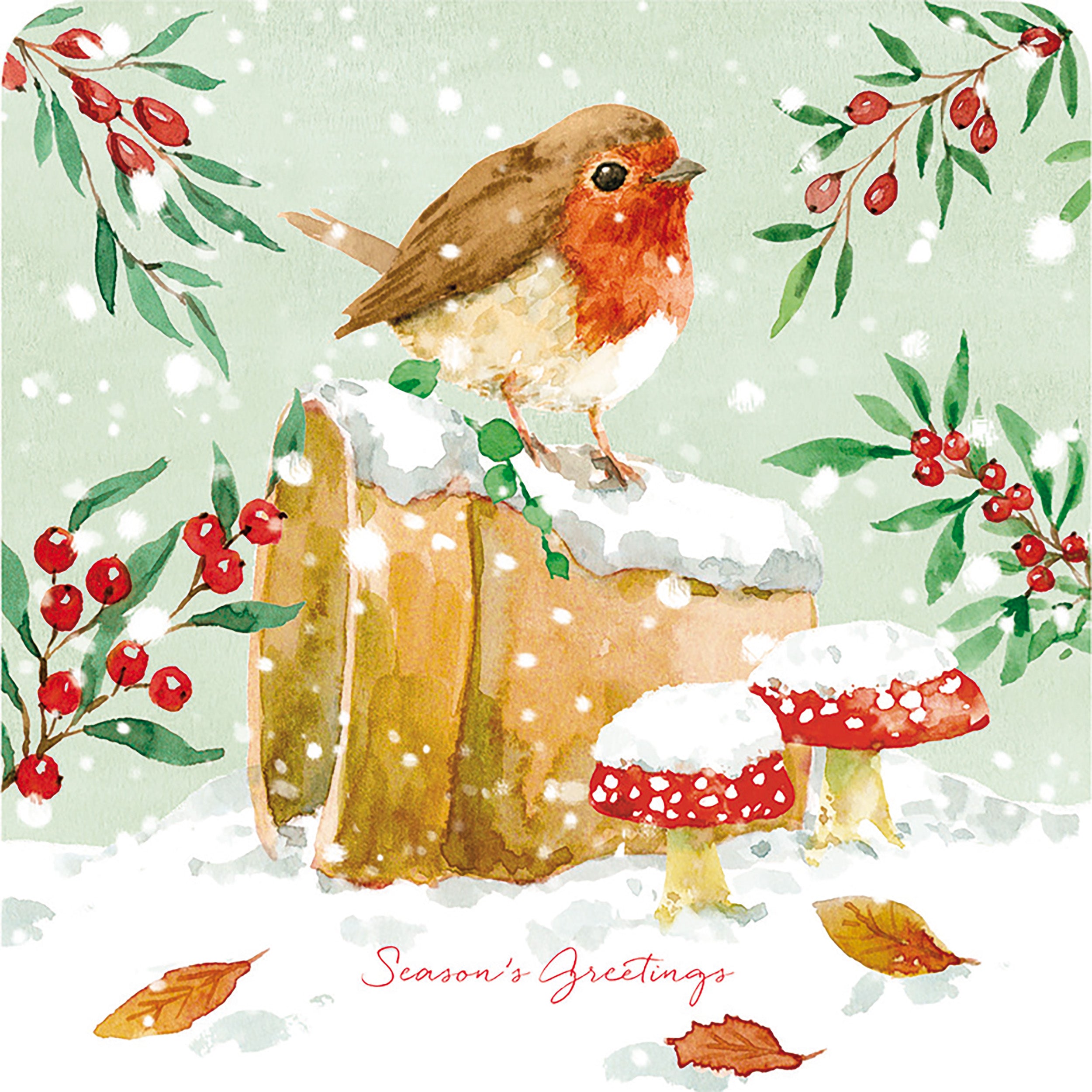 otter-house-robin-lookout-luxury-weihnachtskarten-10er-pack-rotkehlchen image 2