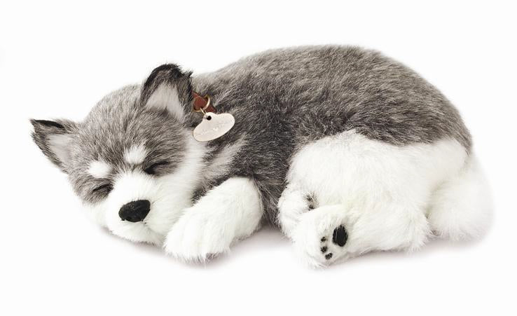 precious-petzzz-alaskan-husky-pl-schtier-atmend-mit-bett image 1