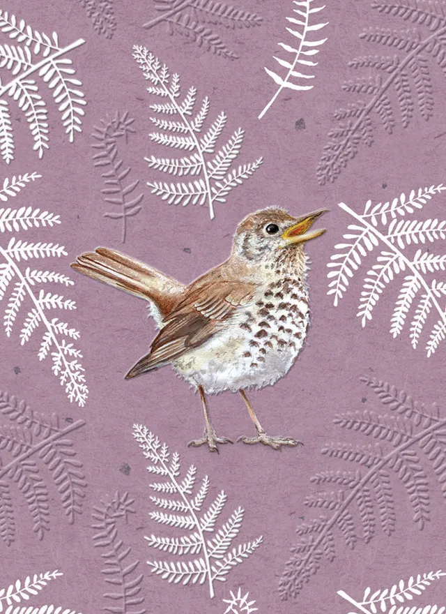 otter-house-rspb-in-the-wild-song-thrush-grusskarte-singdrossel image 1