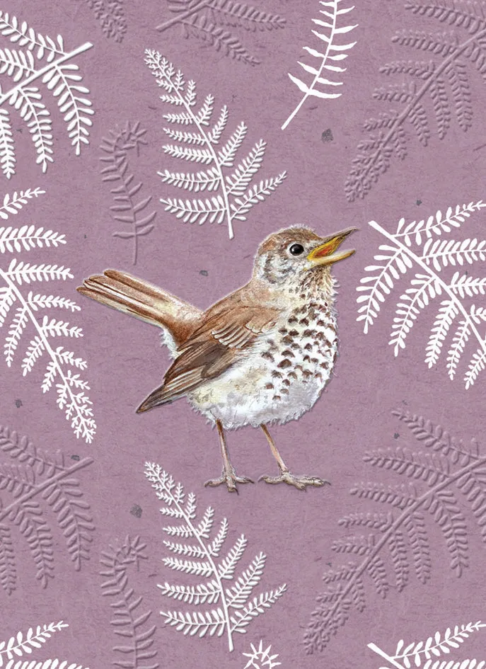 otter-house-rspb-in-the-wild-song-thrush-grusskarte-singdrossel image 1