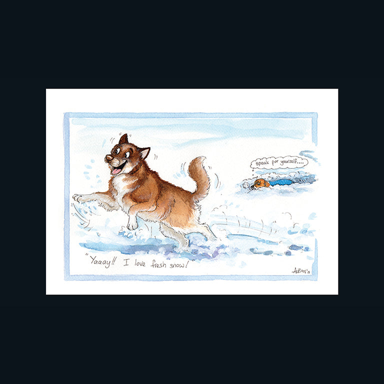 otter-house-alisons-animals-fresh-snow-weihnachtskarte-hund image 1