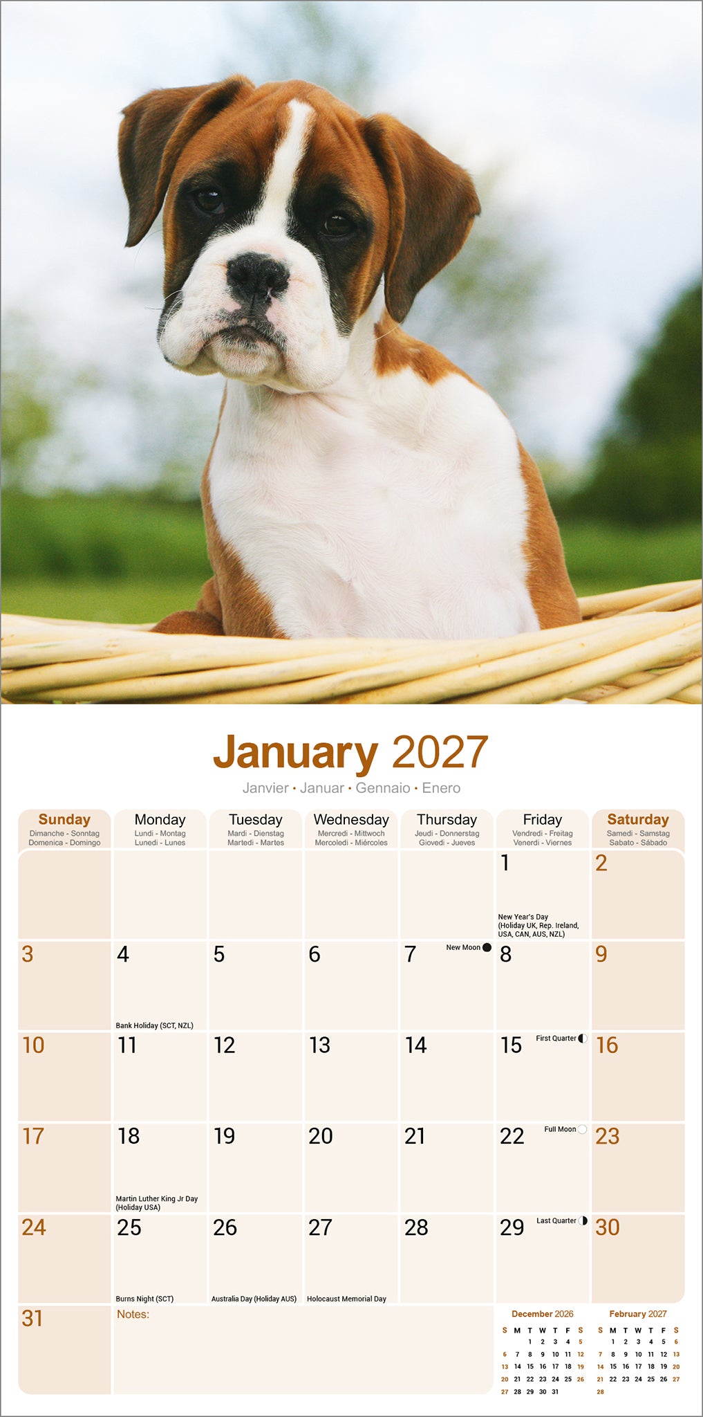 otter-house-boxer-puppies-wandkalender-2027-hunde image 3