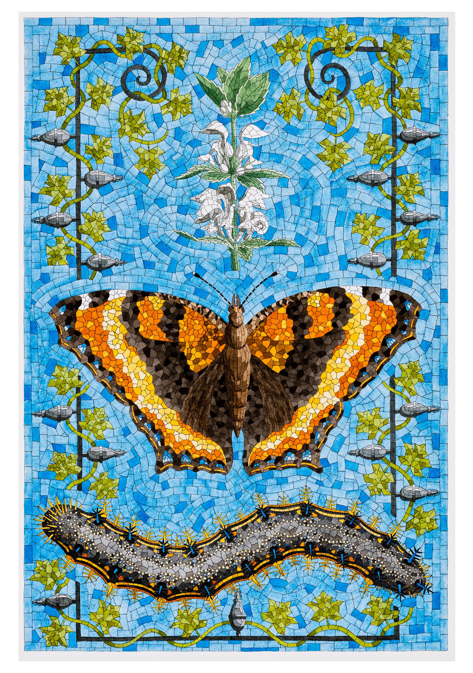 pomegranate-david-cohen-butterflies-karten-set-20-teilig image 5