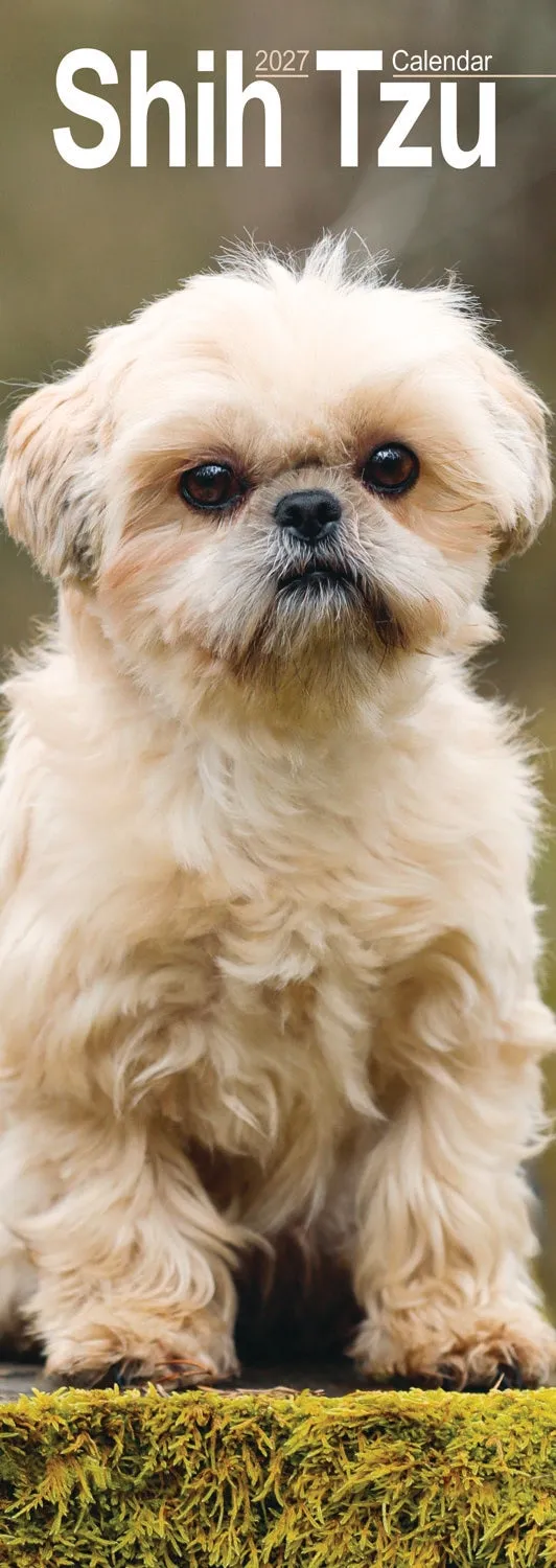 otter-house-shih-tzu-slim-kalender-2027-hunde-wandkalender image 1